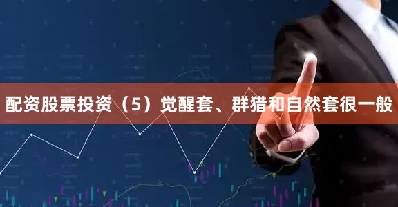 配资股票投资（5）觉醒套、群猎和自然套很一般